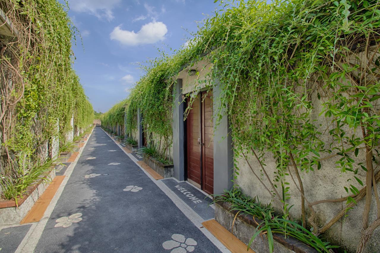 Wisma tamu The Yogasari 3*